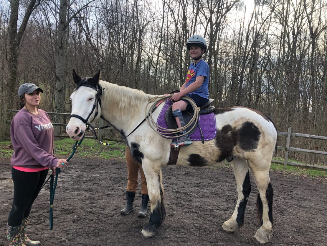 Horses – On Eagles' Wings Therapeutic Horsemanship